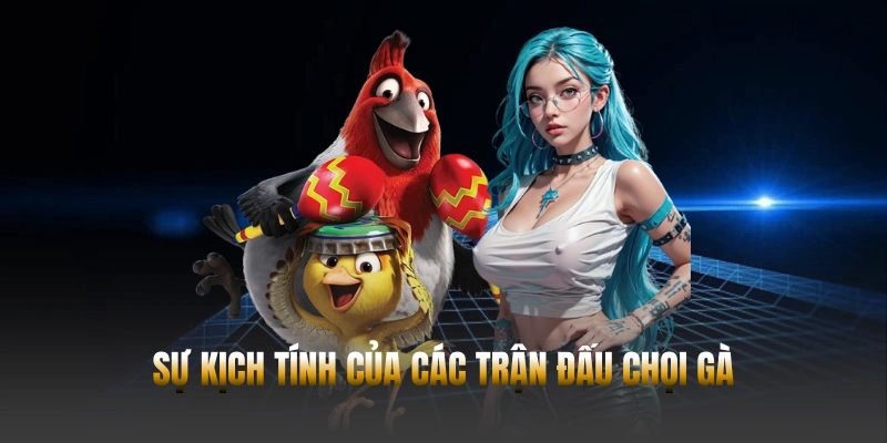 Đá gà Hubet – Trải nghiệm cá cược trực tuyến từ Campuchia 3 Sự kịch tính của các trận đấu chọi gà